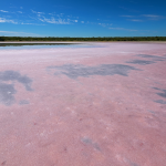 Coorong National Park's pink lake